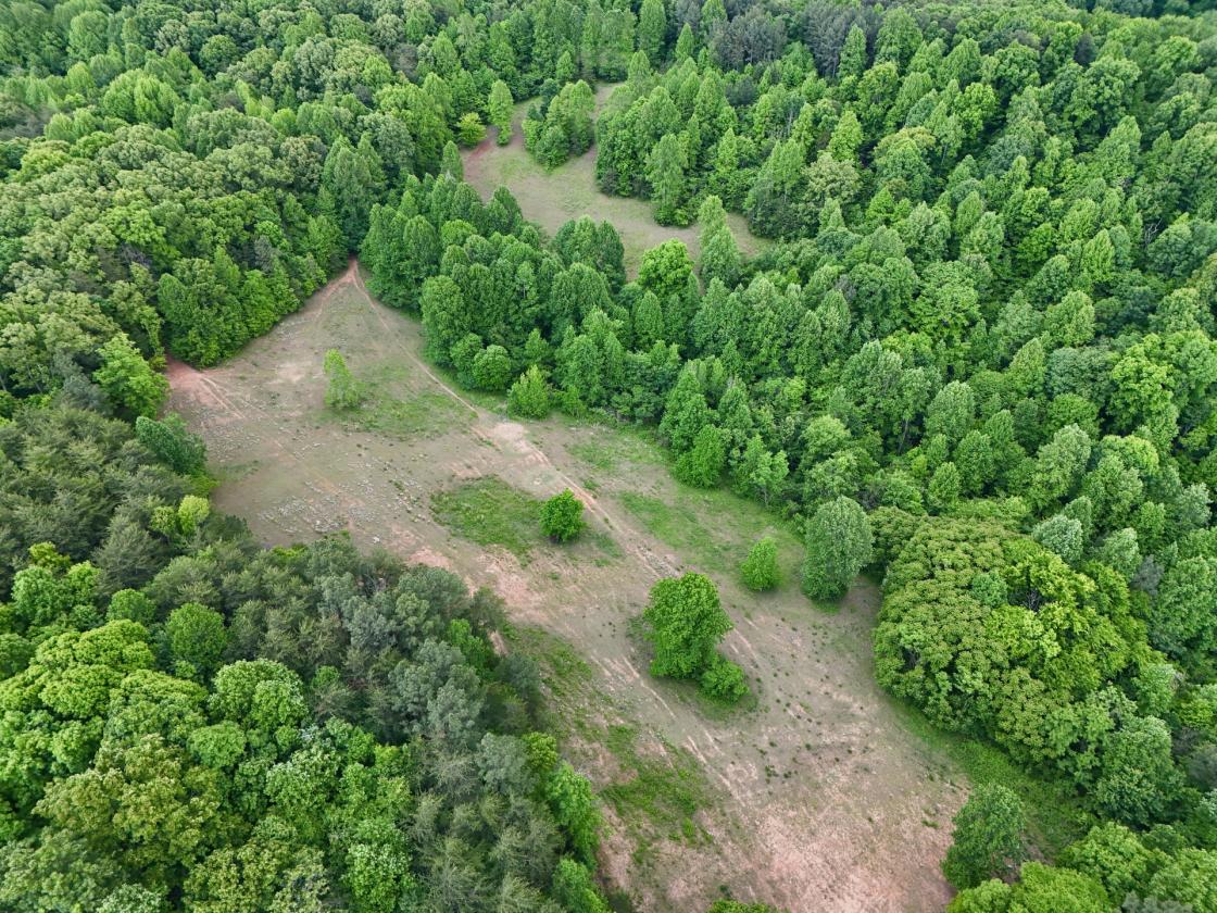 Custom Home On 271.28 Acres - photo 3