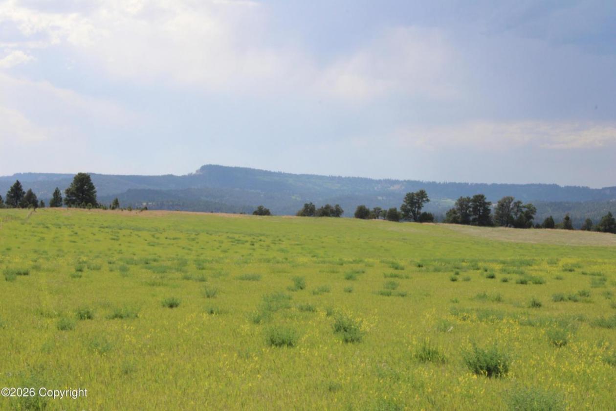 Tract 14 Belle River Ranch- NO Covenants -35+ Acre - photo 5