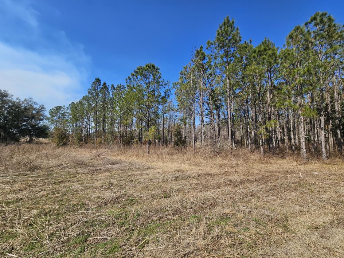 145 AC RANCH & ACCESS TO 37K+ AC STATE REC LANDS - photo 14