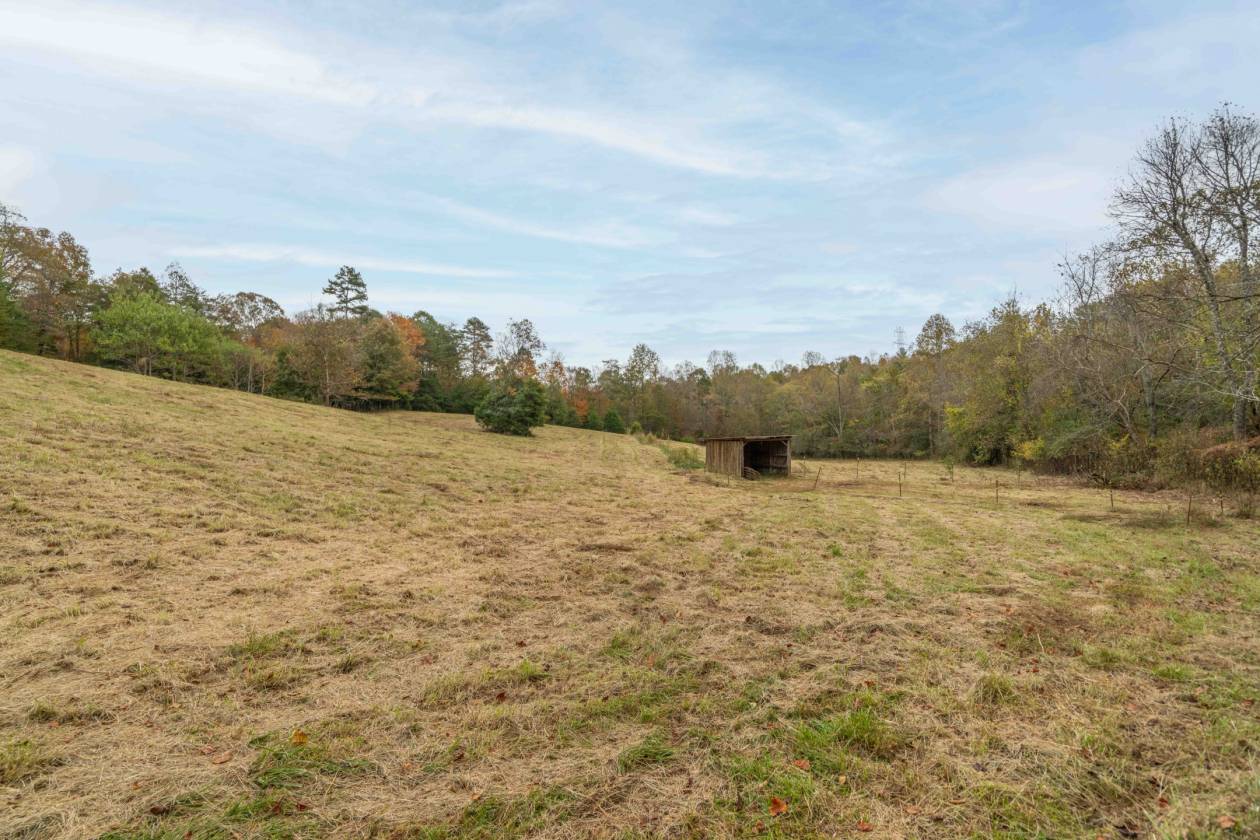 Over 38 Acres Ready for Horses and Priced to Sell! - photo 13