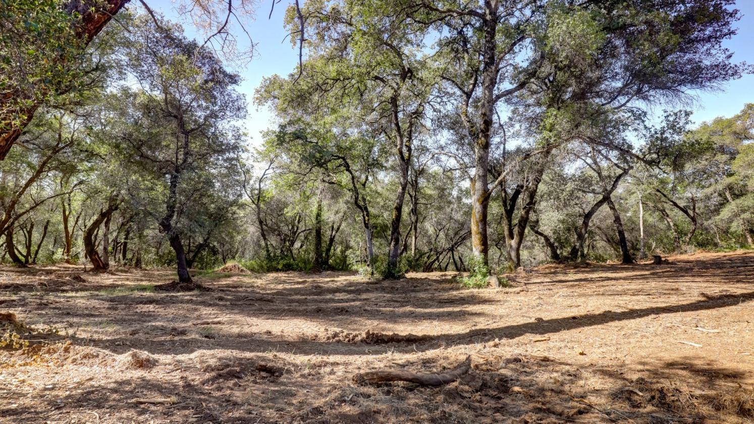 Your 5 Acre Sanctuary in Equestrian Community - photo 1