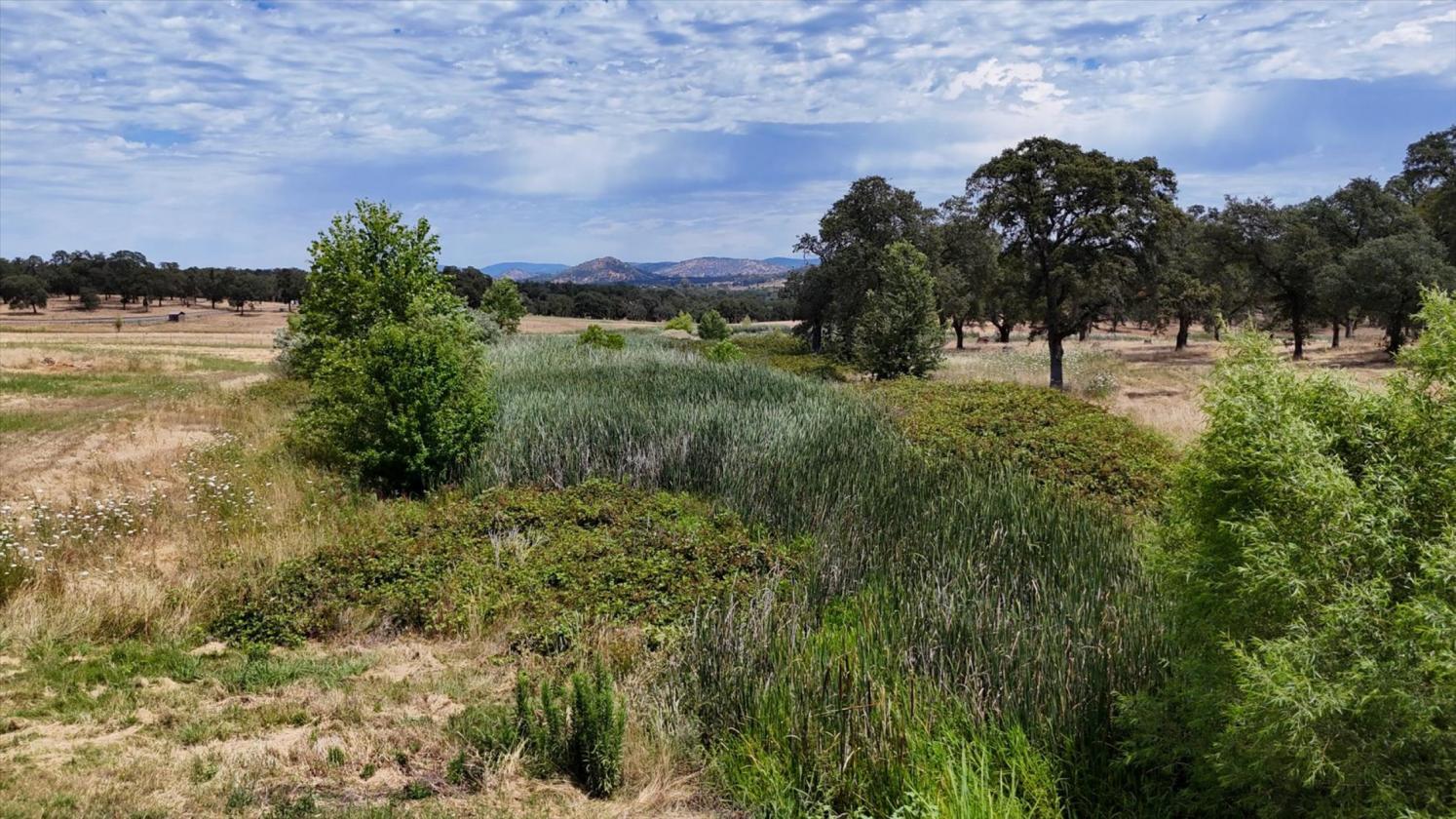 Premier 20-Acre Equestrian Estate - photo 23