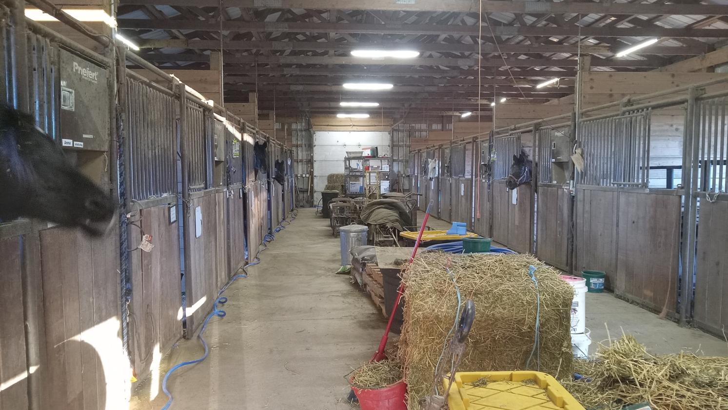 Investment opportunity/Equestrian Facility - photo 6