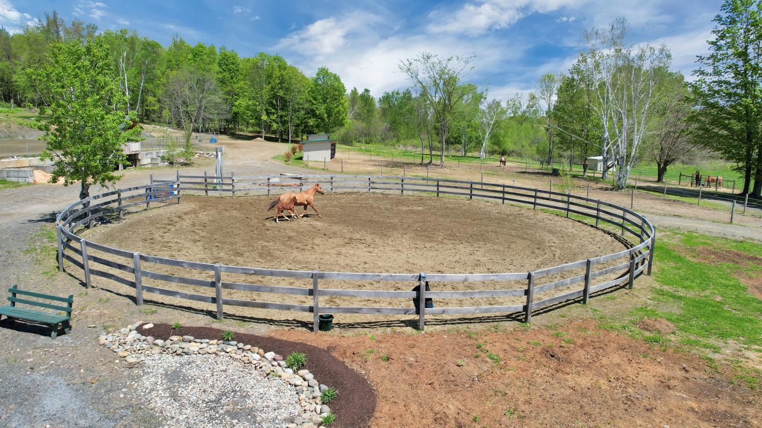 Upstate NY Equine Training & Breeding Facility - photo 13