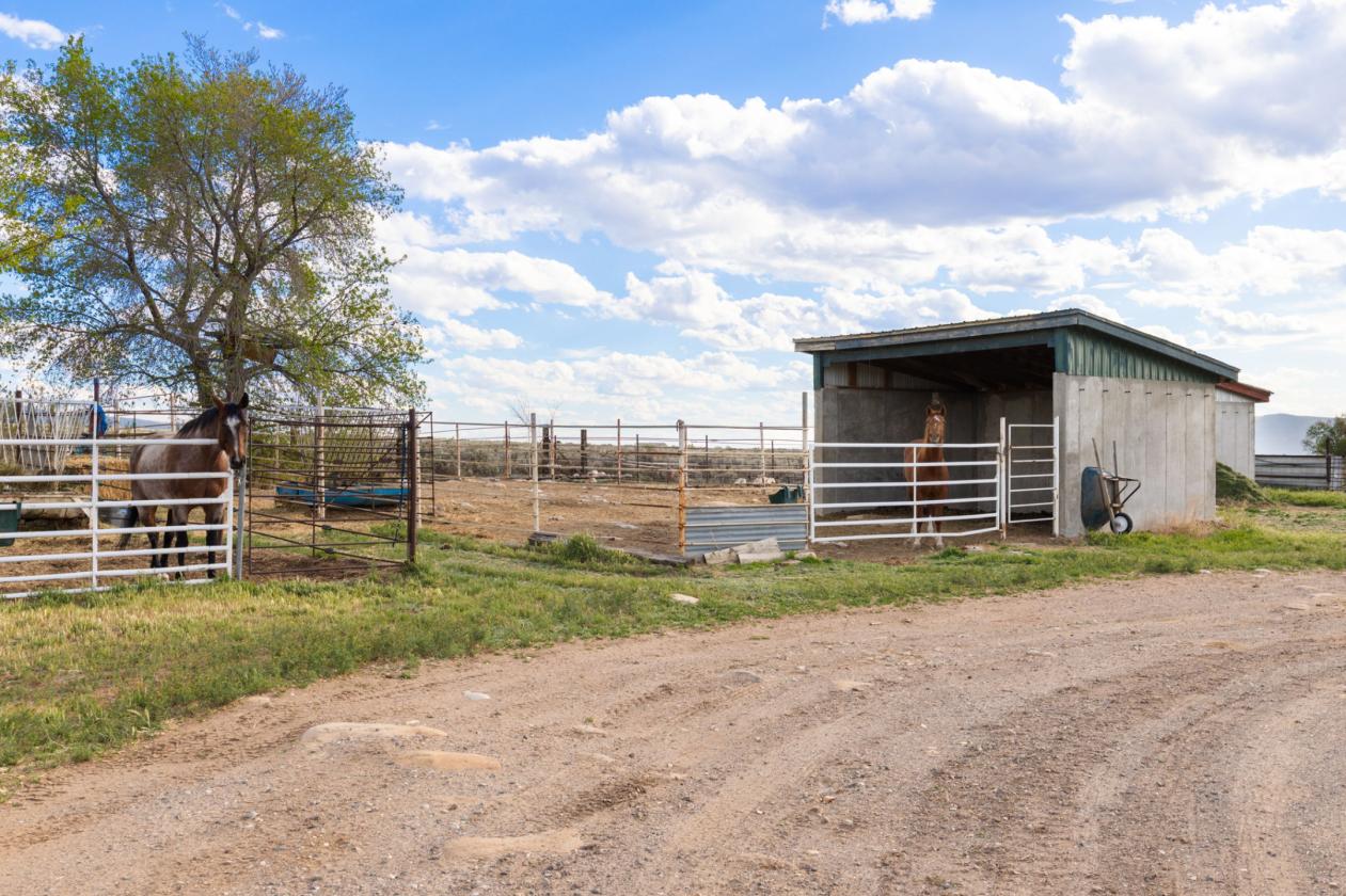 Storybook Luxury Equestrian Estate - photo 13