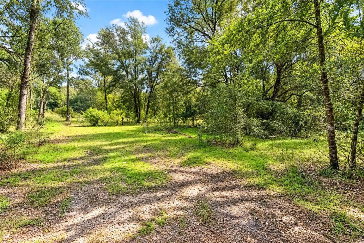 32 ACRES IN LEVY COUNTY NEAR WILLISTON - photo 6