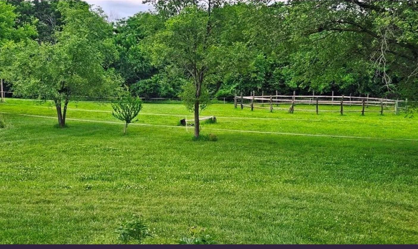 *Price Reduction-$100K* 20 Ac Equestrian Farm - photo 26