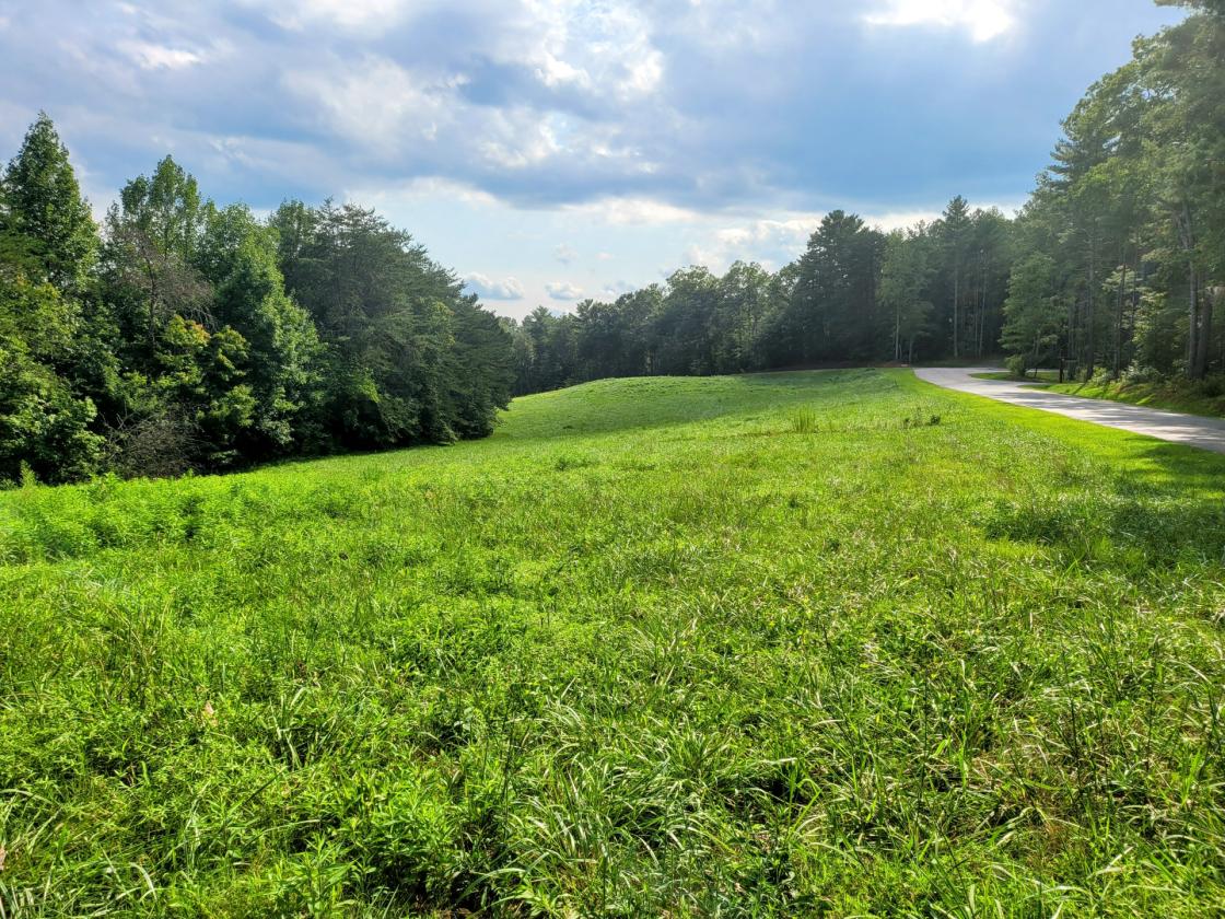 12.49 acres in Equestrian Gated Community! - photo 7