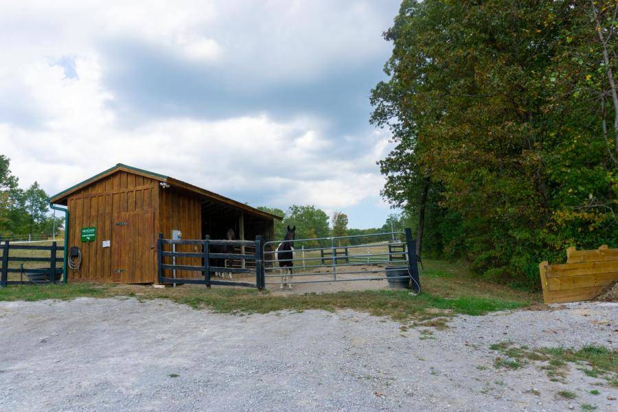 Lot in Gated, Planned Equestrian Community , Jamestown, TN Jamestown
