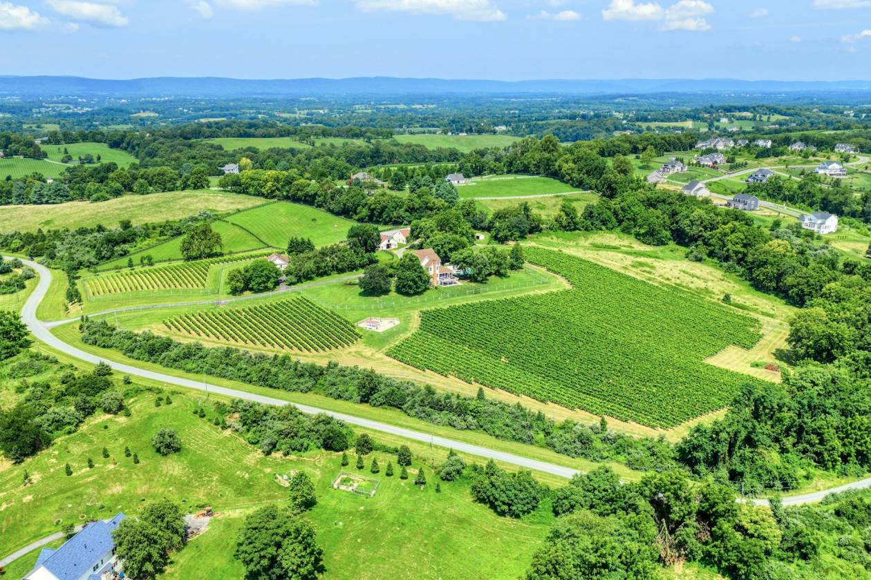 Horse Property for sale.