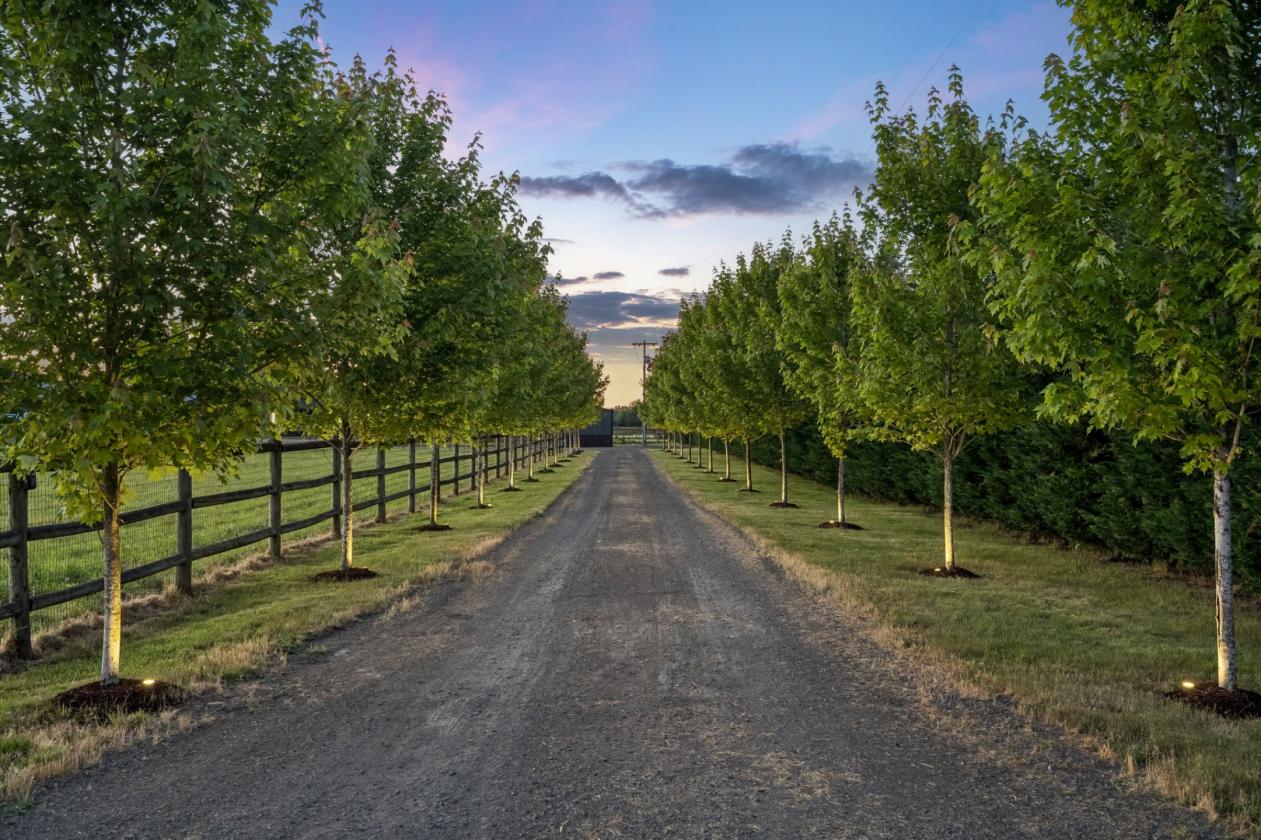 Modern Country Living Meets Equestrian Excellence - photo 6