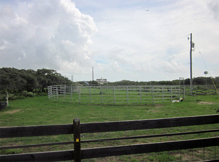 80+/ Acres Horse Farm with Barndominium Corpus Christi, Nueces County, Texas