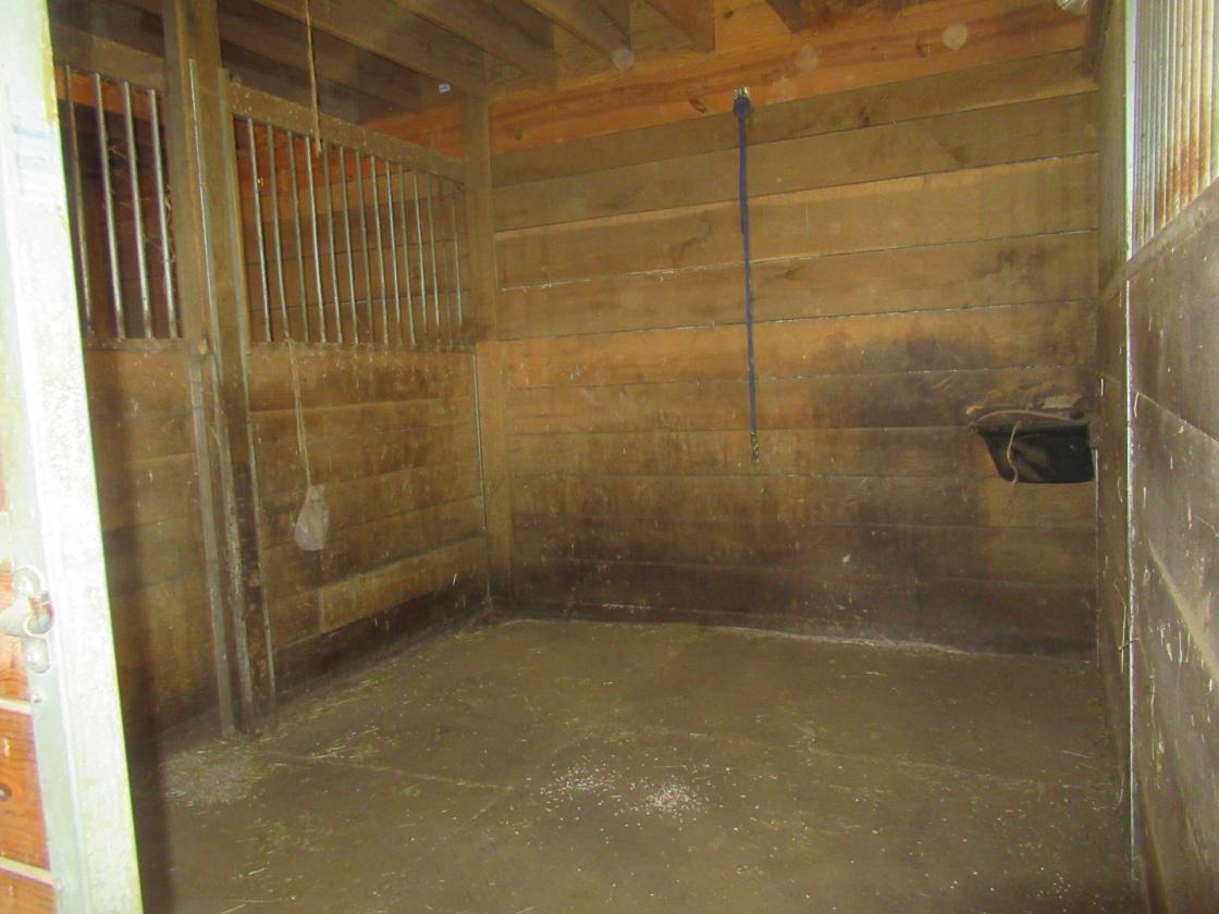Horse Property w/ Indoor Arena & 4-Stall Barn - photo 13