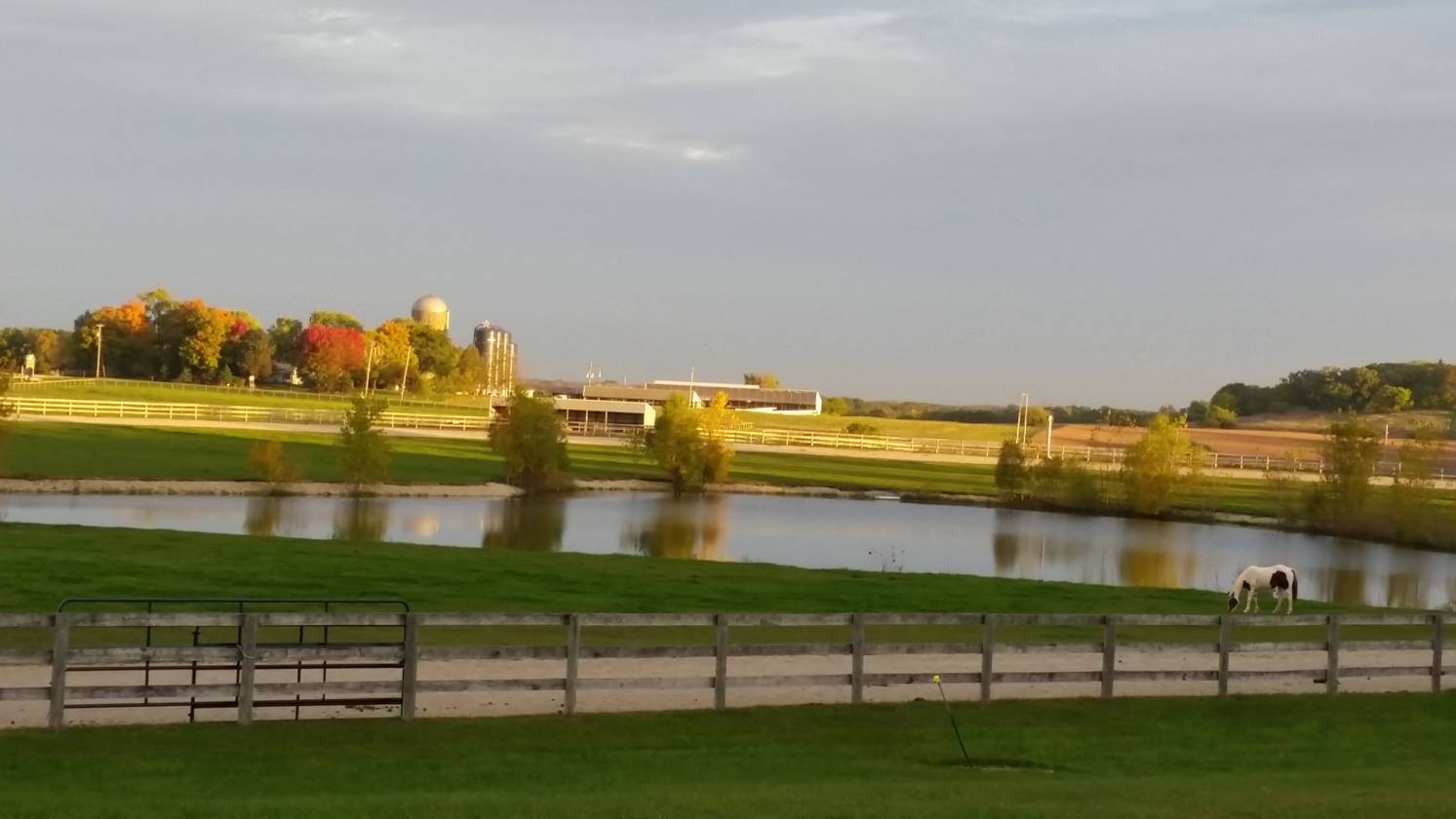 Horse Farms For Sale in Lake Geneva Walworth County, Walworth County