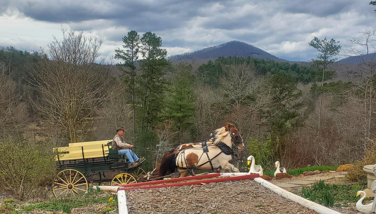 Blue Ridge Equestrian Retreat - photo 30
