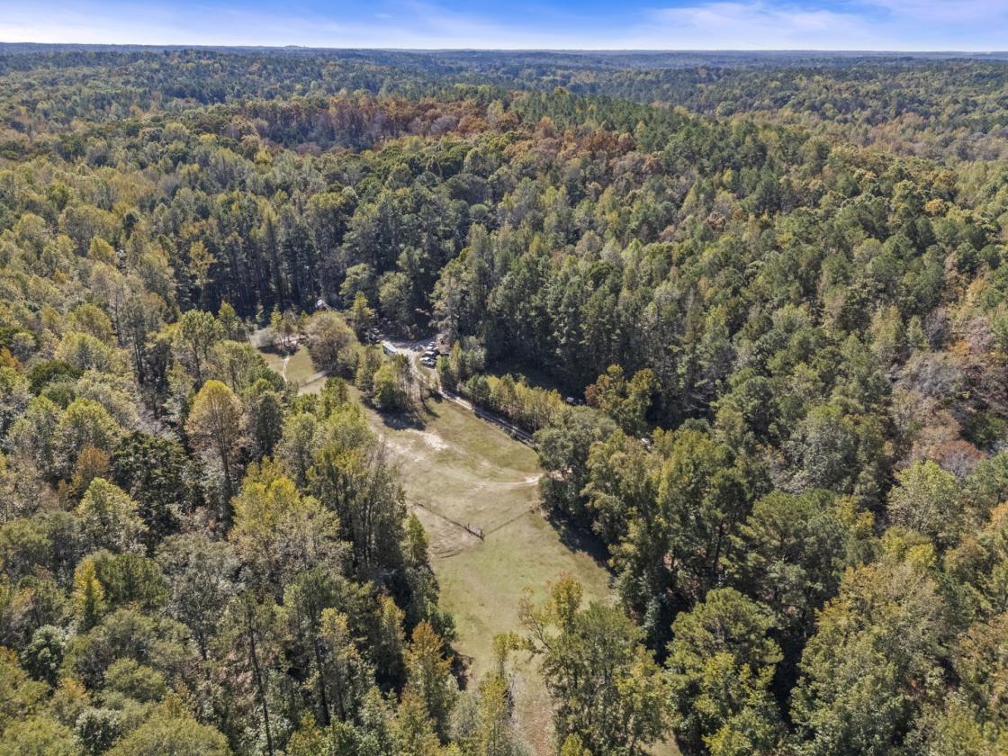 Rare South Fulton ACREAGE with Log Cabin - photo 3