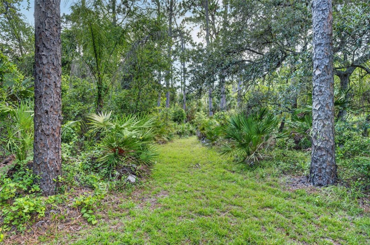 5-Acre Equestrian Retreat with Pool - photo 21