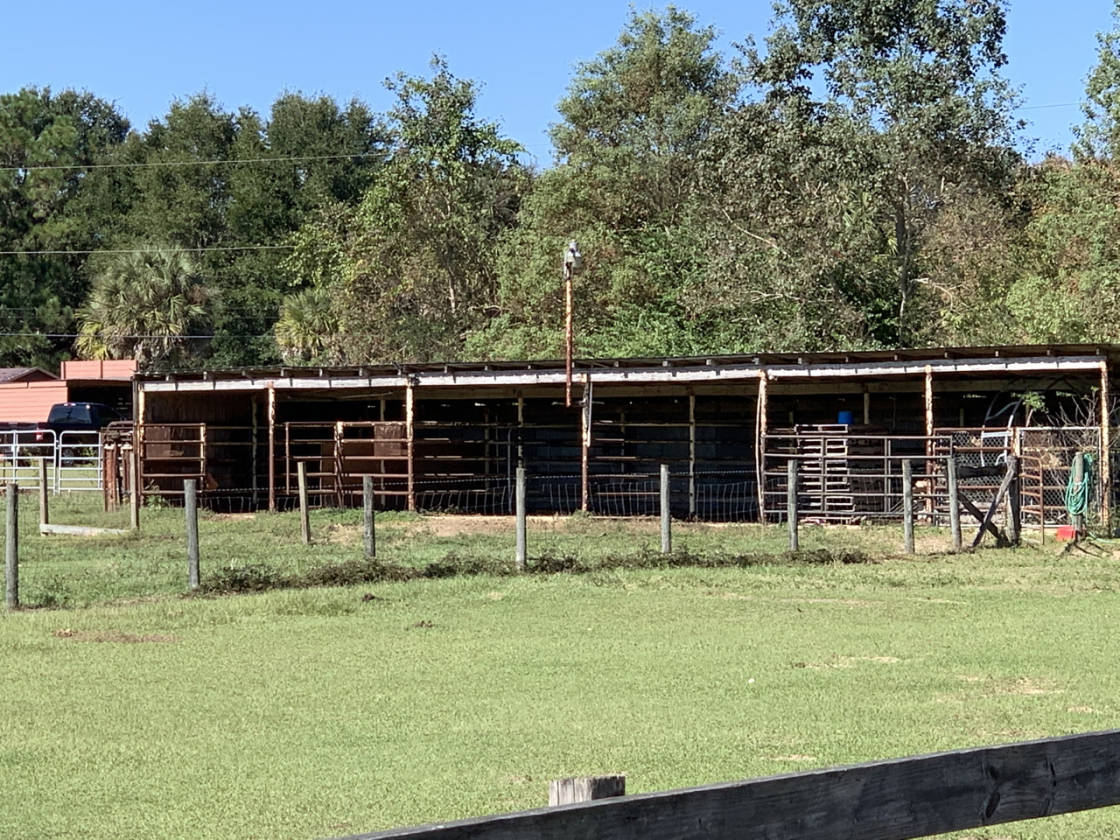 16.5 Acre Northwest Florida Home Site with Accessory Buildings