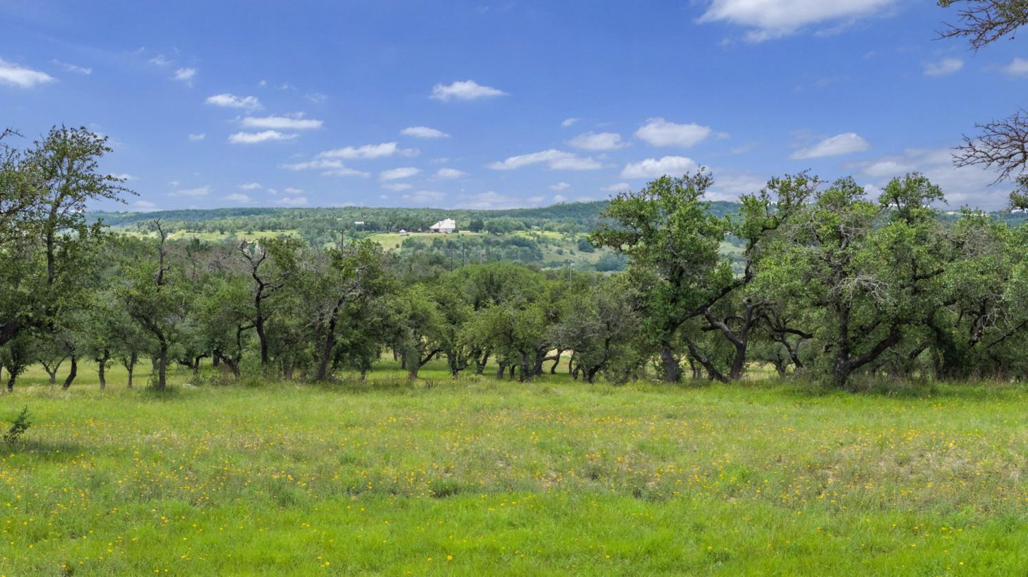 90 Acres in the heart of the Texas Hill Country - photo 17