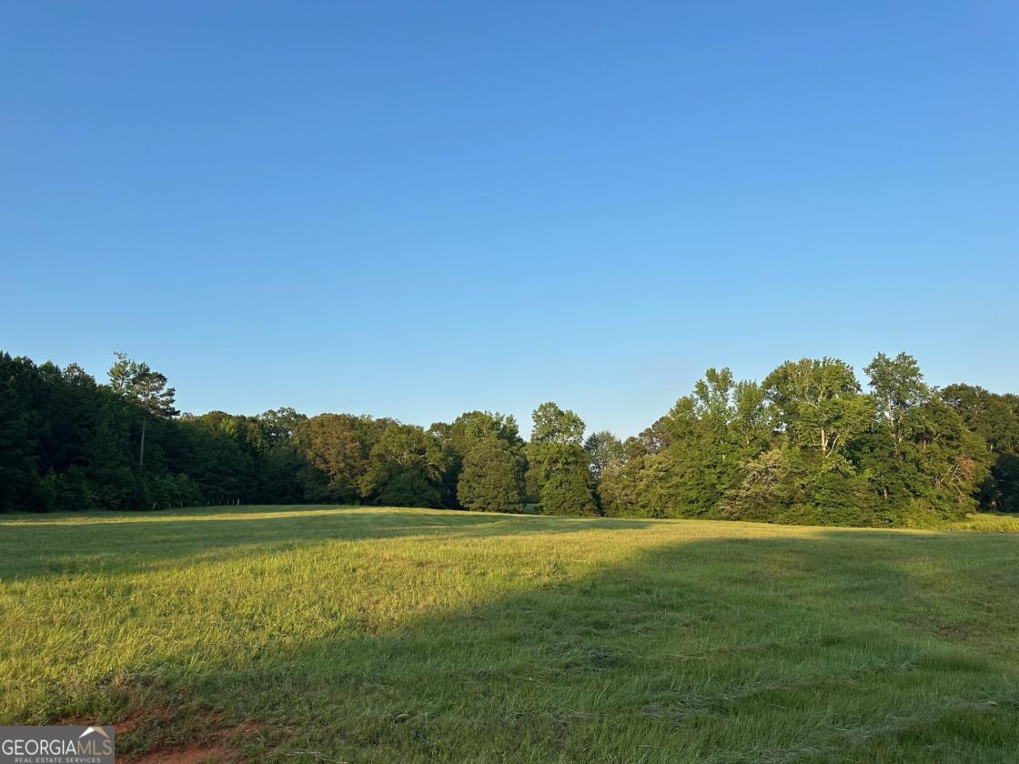 Build Your Equestrian Dream Estate - photo 14