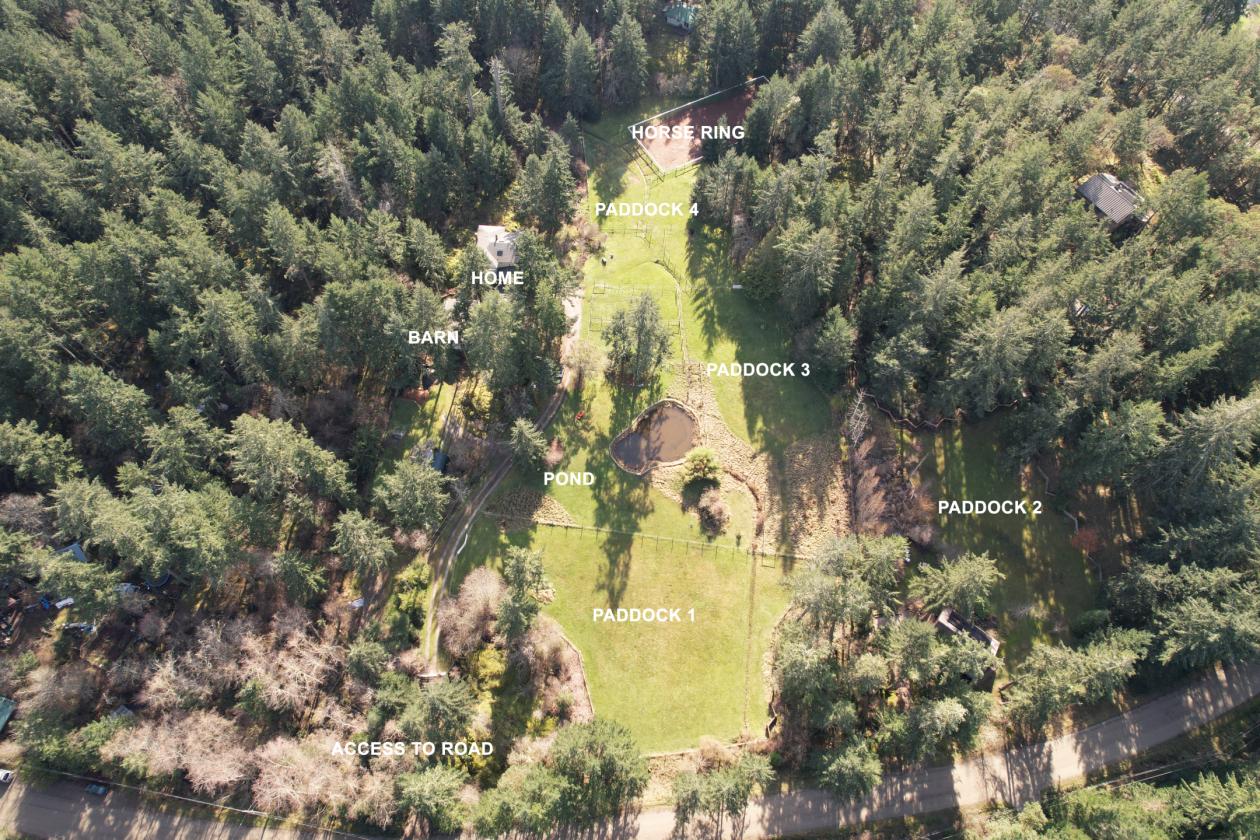 Salt Spring Island Hobby Farm Perfect for Horses!! - photo 6