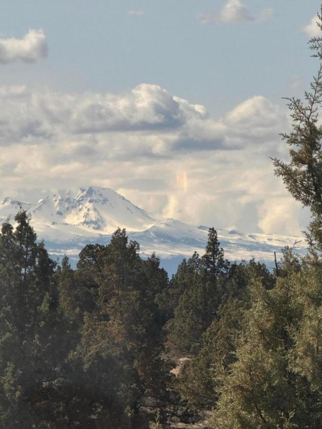 Private 40 Acre Equestrian Property - photo 27