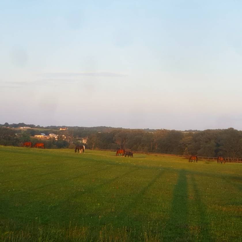 Carlisle Springs Farm - photo 4