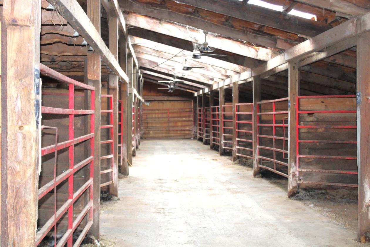 Central Indiana Horse Training & Boarding Facility - photo 20