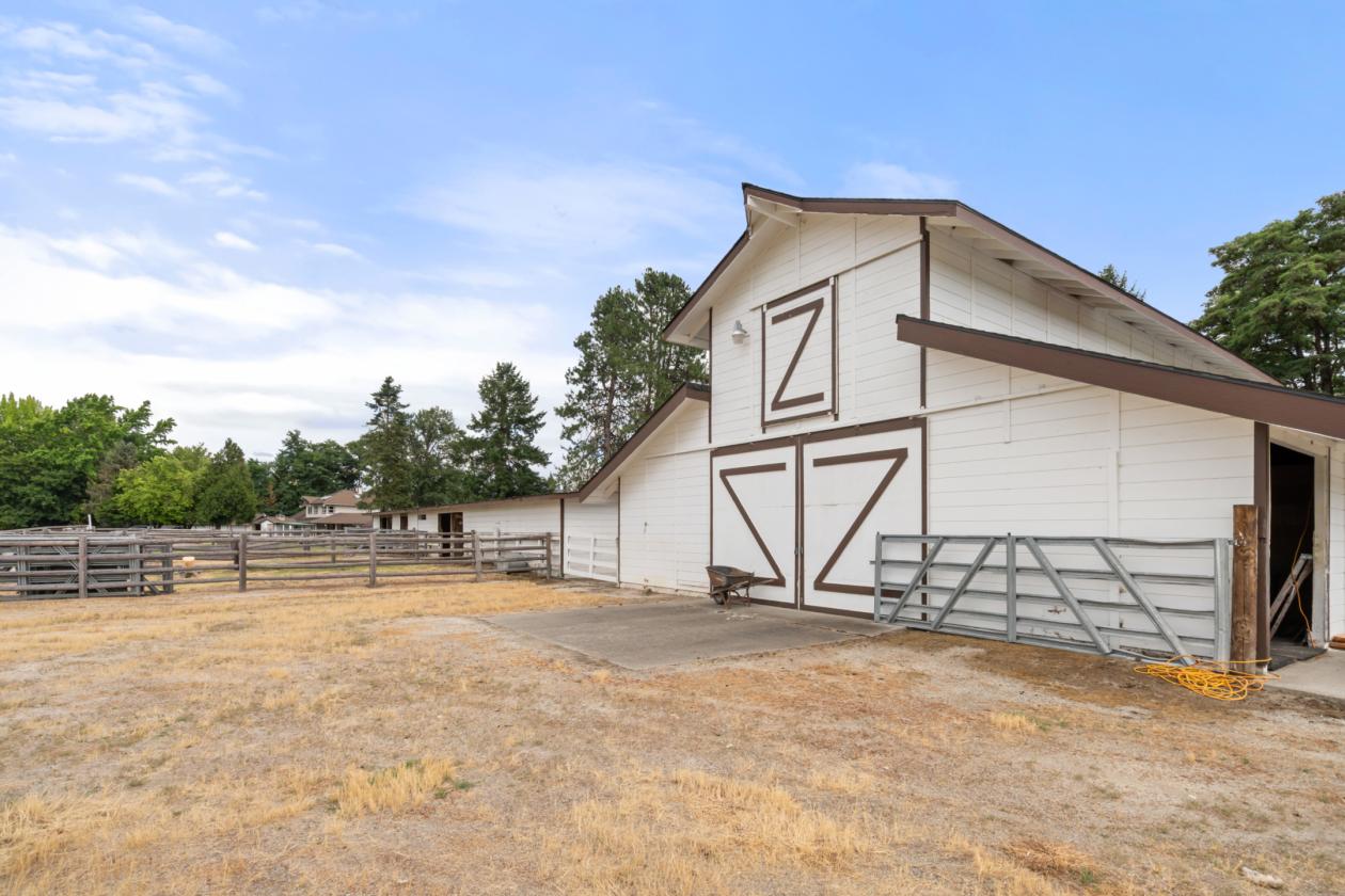 Roguemere Ranch River Equine Elegance - photo 5