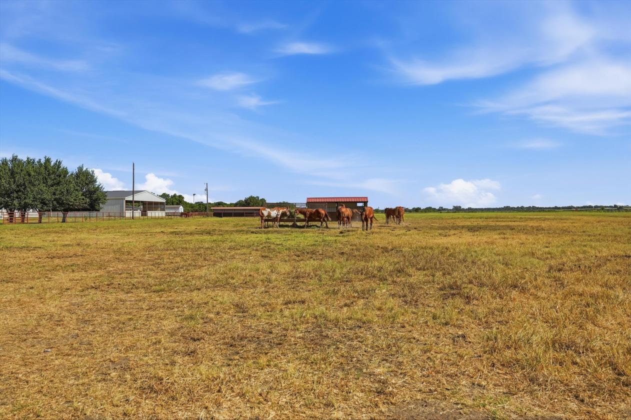 Peaceful Country Living on 15 Acres - photo 28