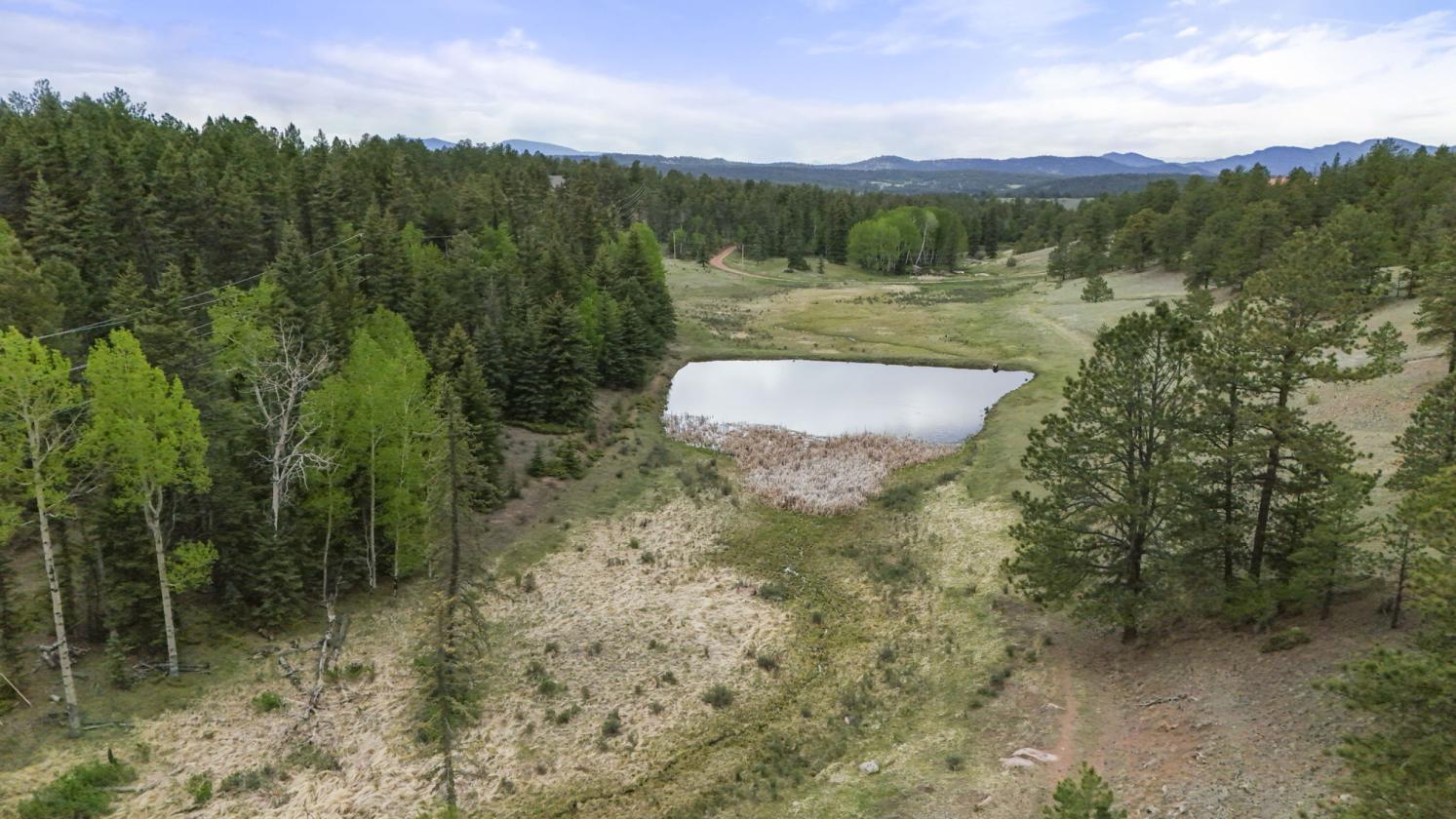 40+ acre Ranch, Retreat, and Venue in Colorado - photo 18