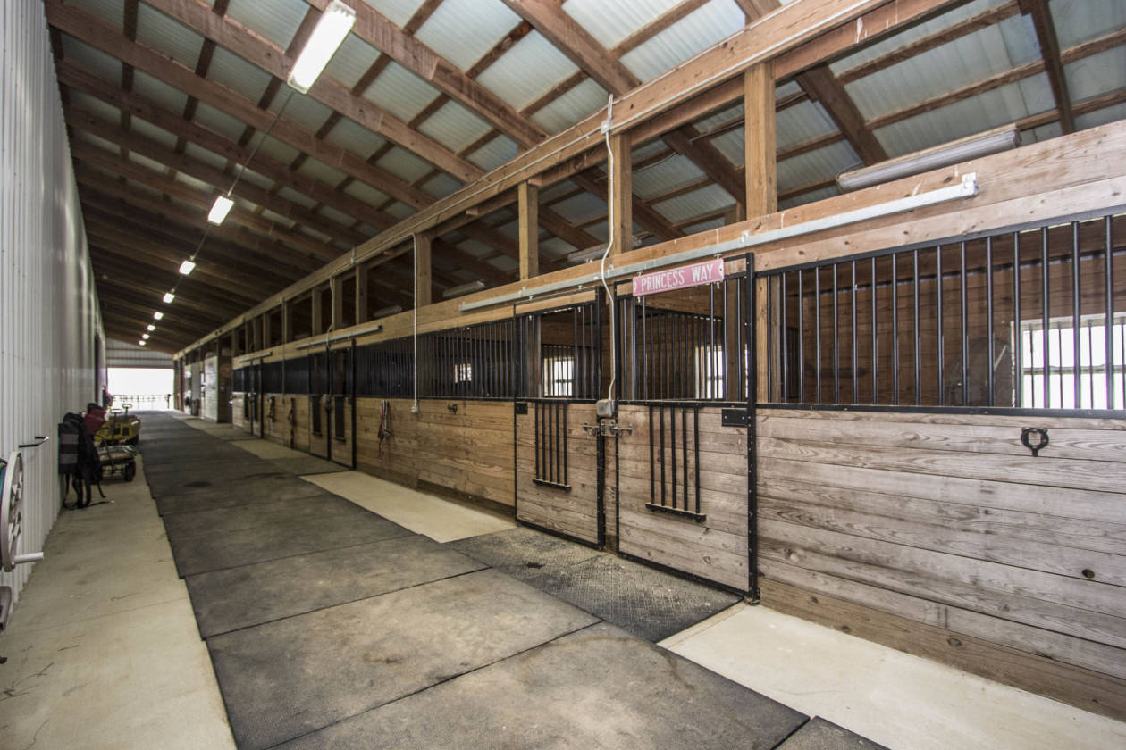 THE PERFECT EQUESTRIAN ESTATE! Grove City, Franklin County, Ohio