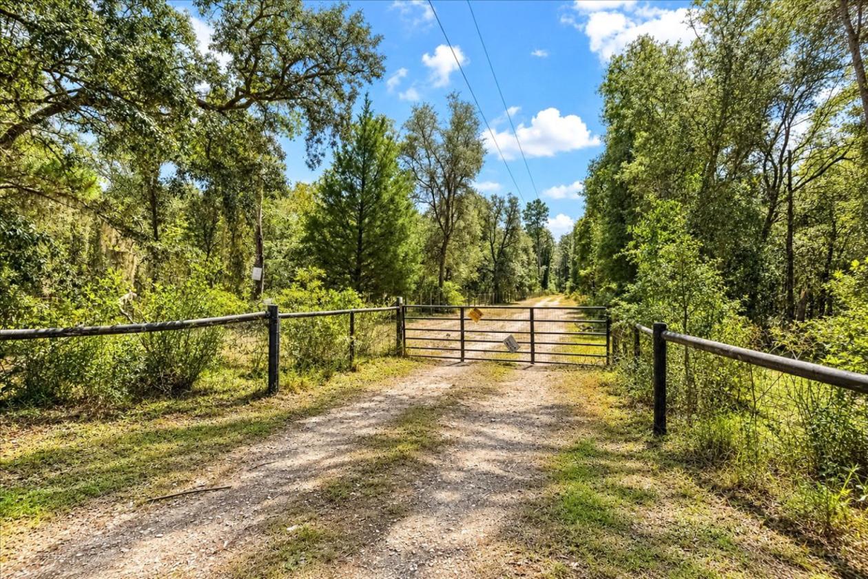 32 ACRES IN LEVY COUNTY NEAR WILLISTON - photo 12