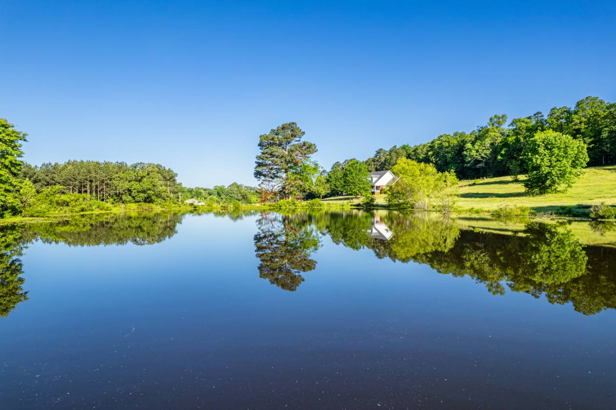 Horse Property for sale.