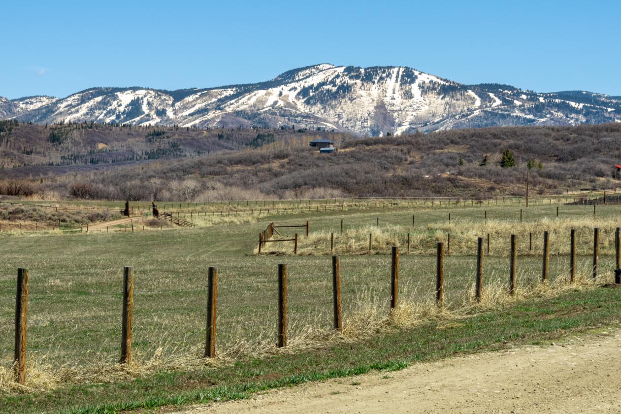 The Laurie Ann Ranch - photo 30