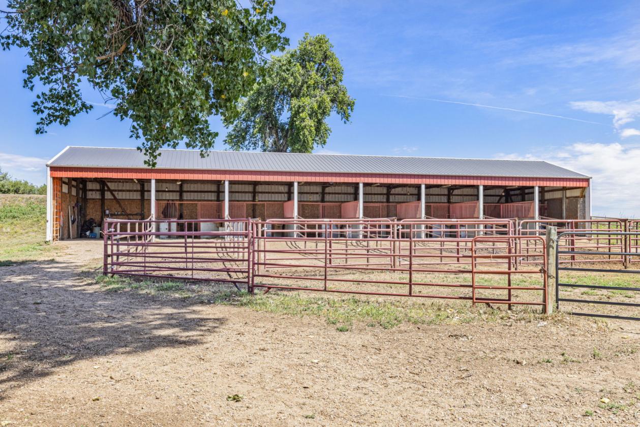 35 Acres with Two Homes & 8 Acre Lake - photo 17