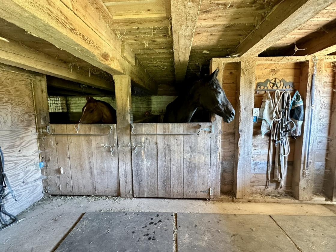 Horse farmette fully restored, 6 stall bank barn - photo 12
