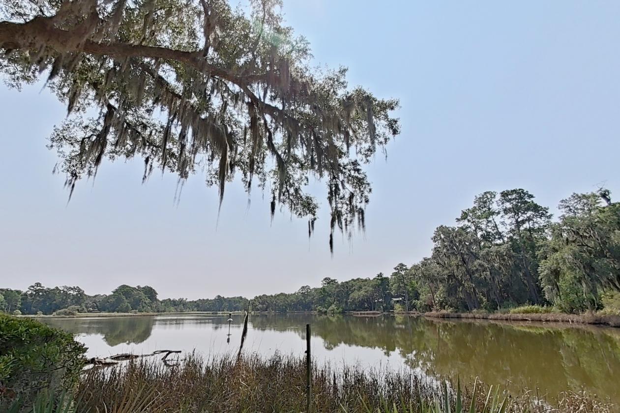Striking Home In Brays Island Community - photo 17