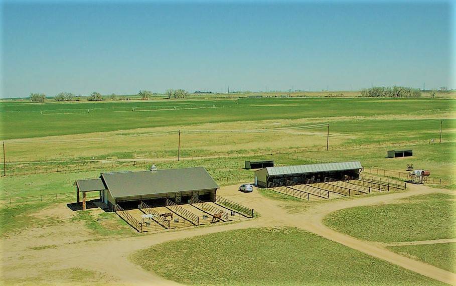 Luxurious Equestrian Estate Fort Lupton, Weld County, Colorado
