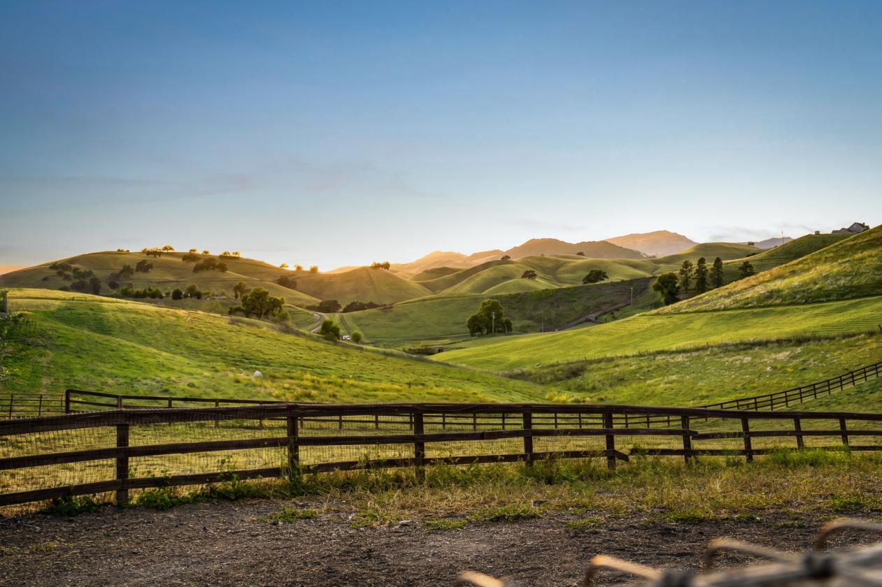 Camino Tassajara Ranch Estate - photo 21