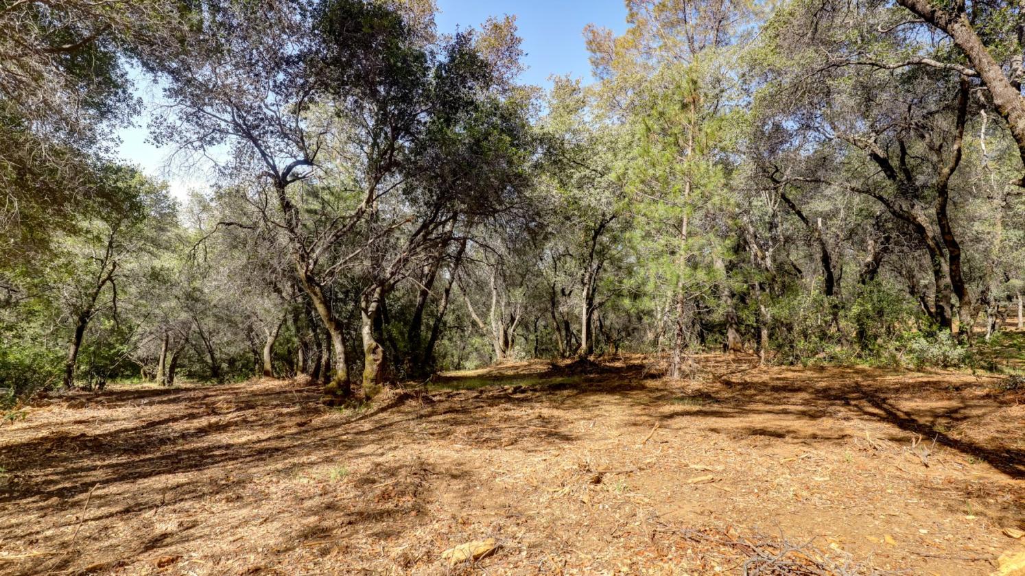 Your 5 Acre Sanctuary in Equestrian Community - photo 7