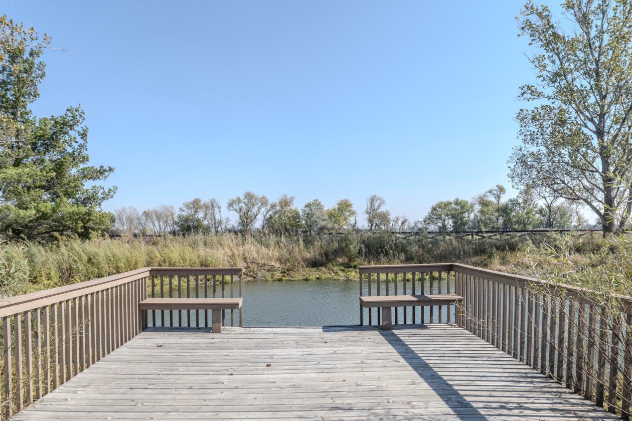 ENJOY EQUESTRIAN LIVING ON THIS BREATHTAKING FARM - photo 6