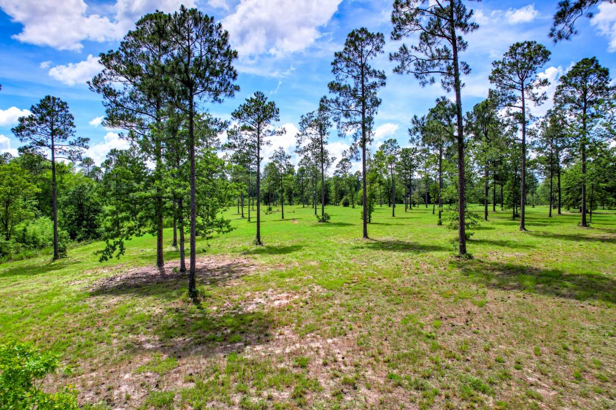 Horse Property for sale.