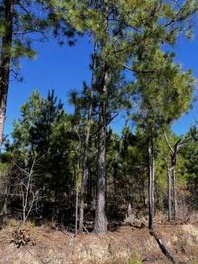 Property image.