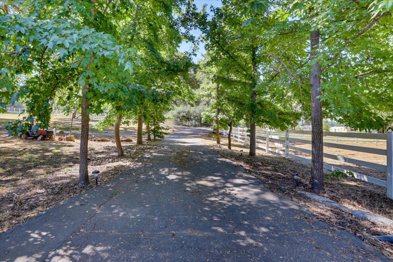Horse Property with Endless Possibilities - photo 24