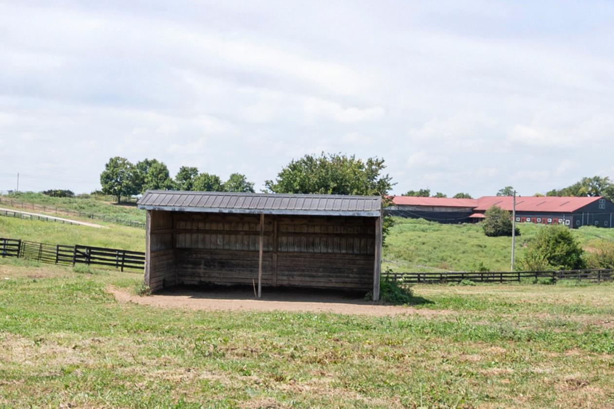 13.5 Acre Equestrian Property - photo 5