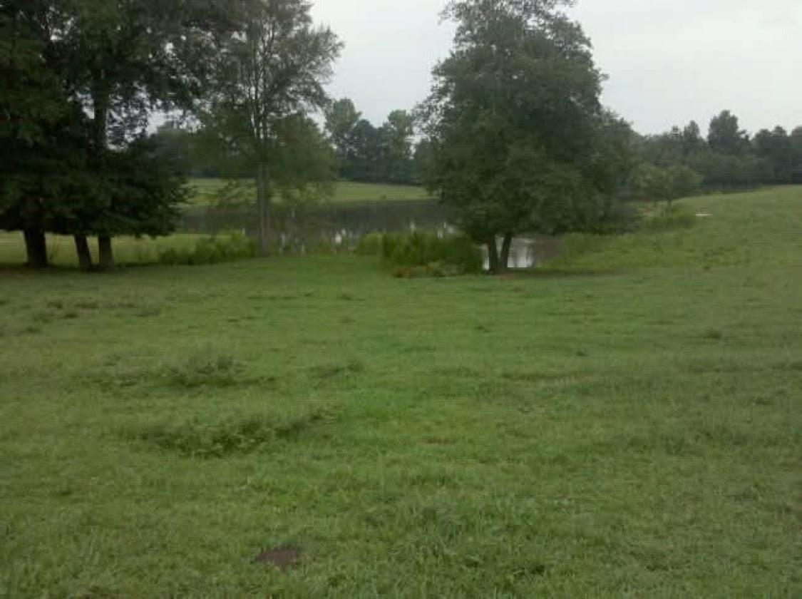 27.5 acre horse/cattle farm with paddocks and pond - photo 3
