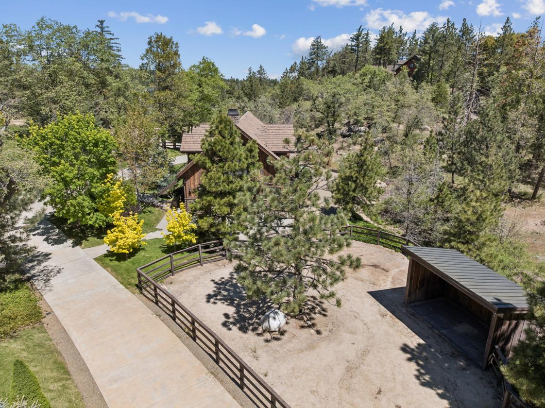 Luxury Equestrian Estate in the Mountains - photo 23