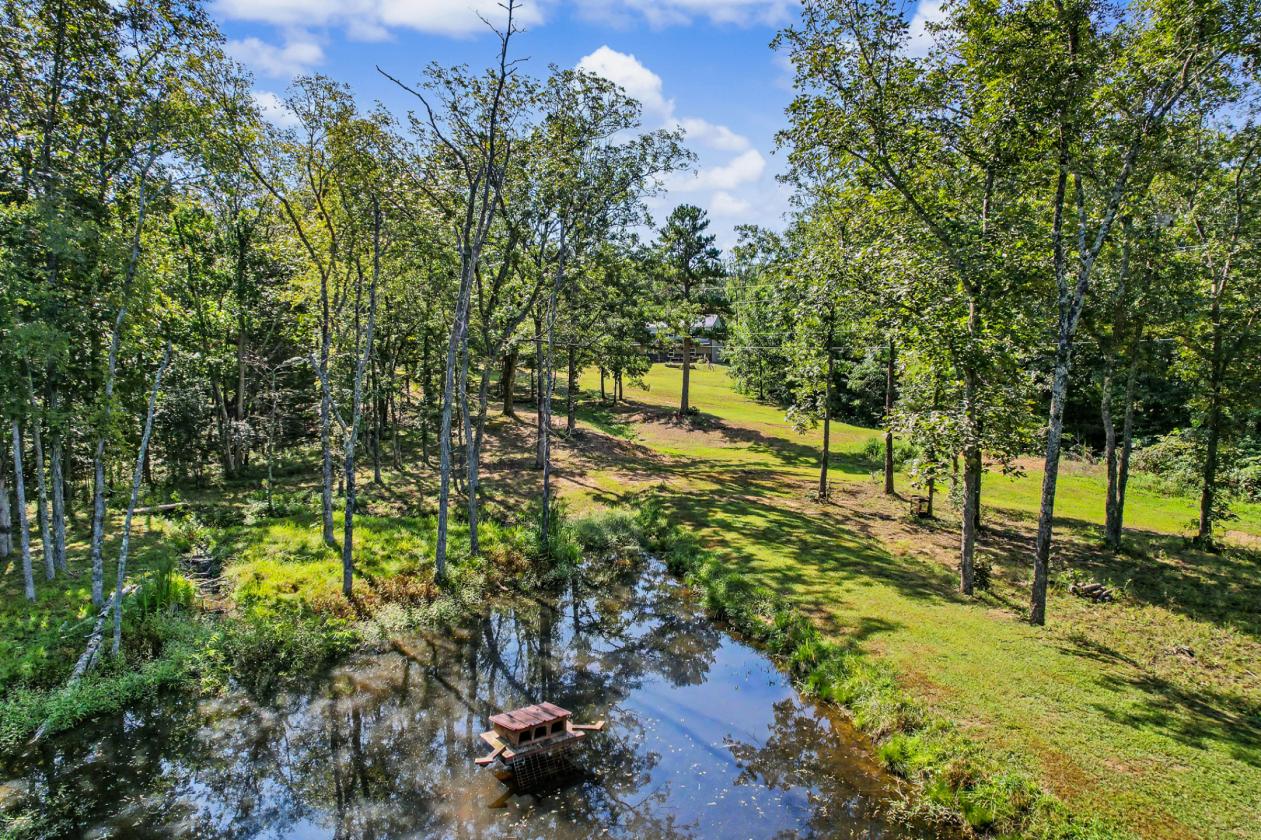 Perfect for the Outdoor Enthusiast! Stocked Pond! - photo 10