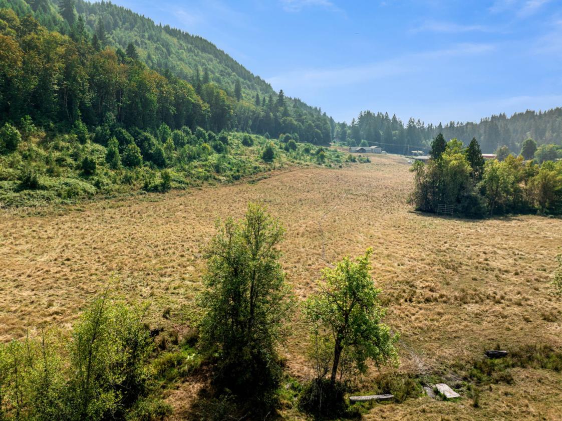 33.59 Acres with Barn, Shop & Mt. St. Helens Views - photo 14